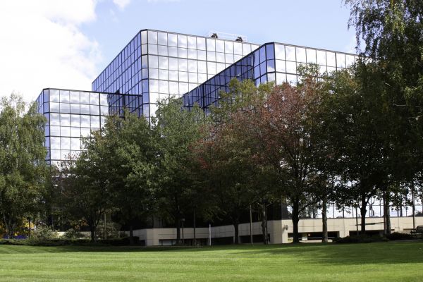 Commercial Tree Trimming in Wentzville