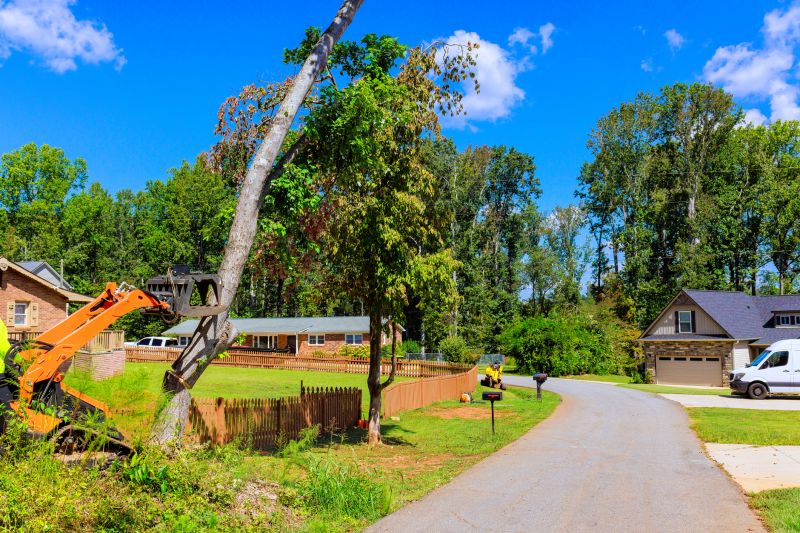 Tree Removal Equipment