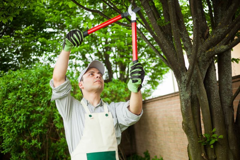 Tree Care Equipment Suppliers